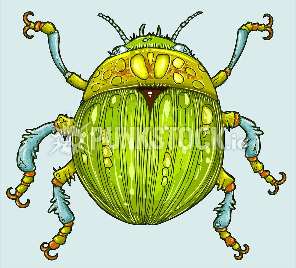 Bug #insect bugs vector graphic