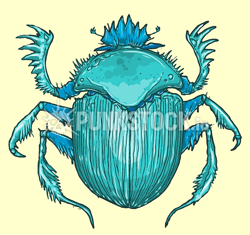 Bug #insect bugs vector graphic