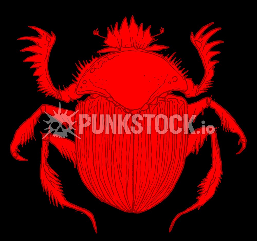 Bug insect bugs vector graphic