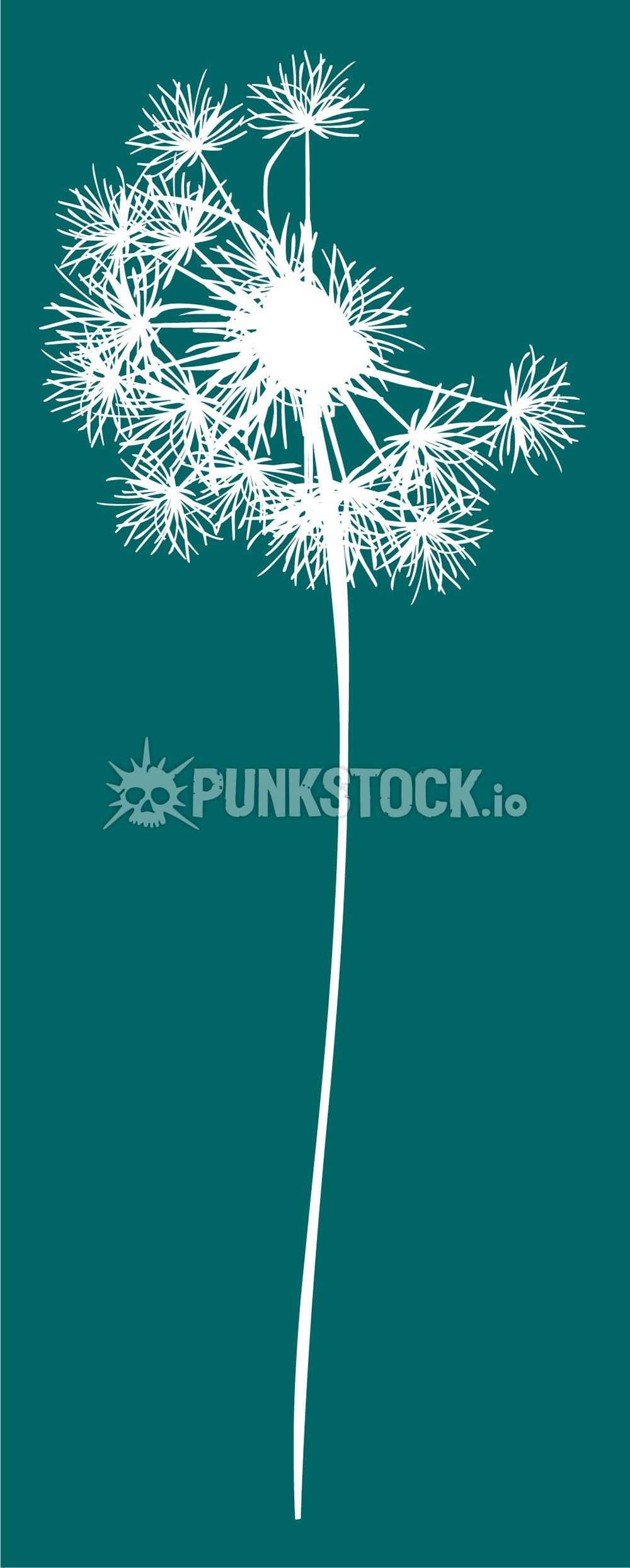 Dandelion dandelions dandylion vector graphic