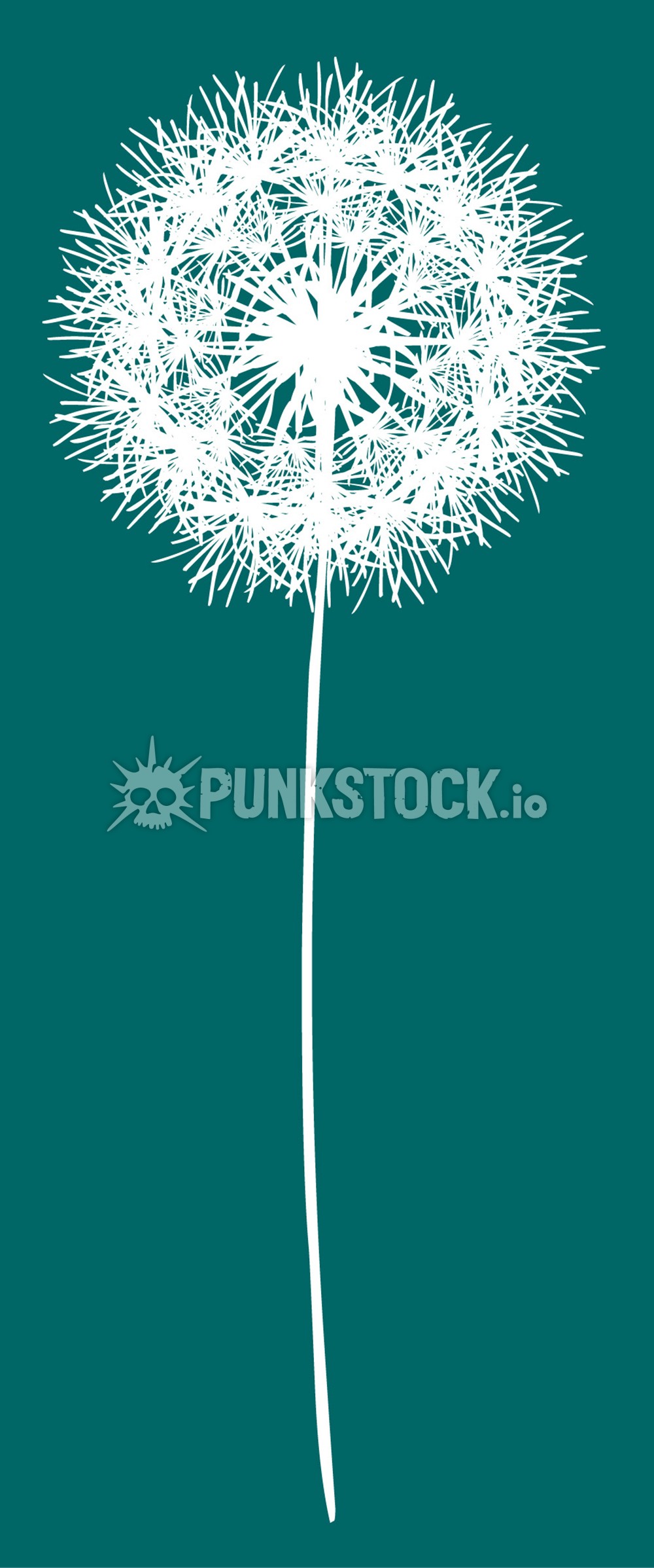 Dandelion dandylion dandy lion vector graphic