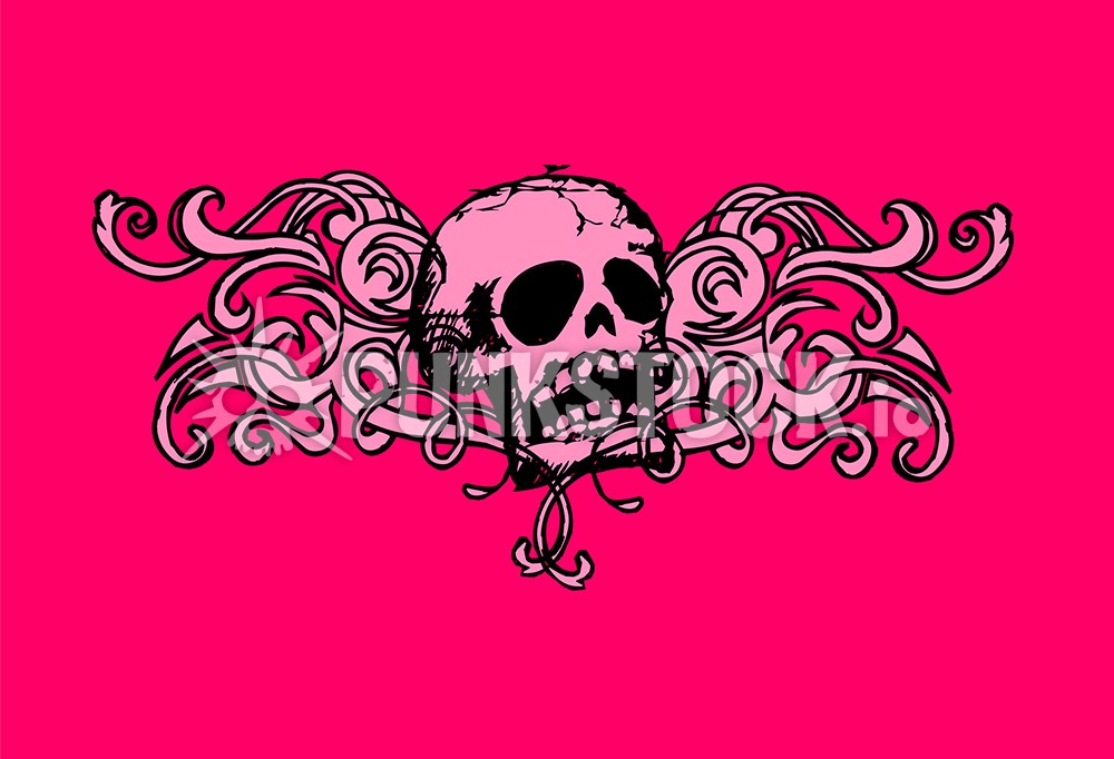 Skull skulls skeleton vector graphic