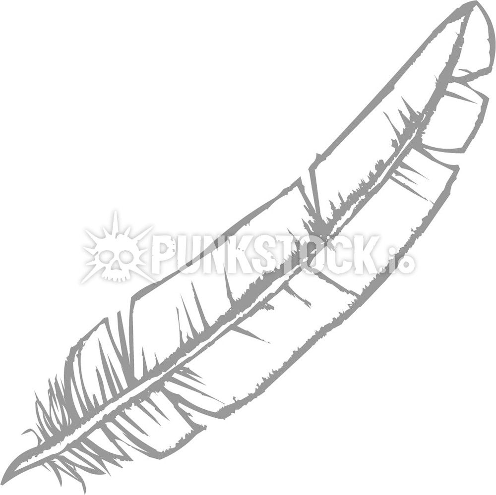 Feather feathers doodle vector graphic