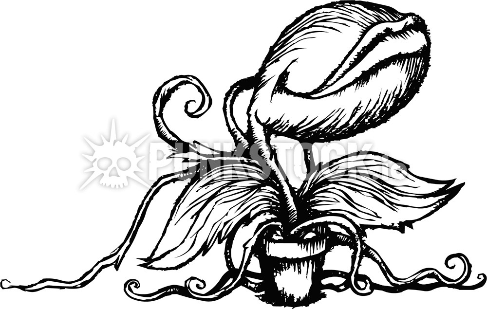 Venus fly trap little shop of horrors audrey 2 vector graphic