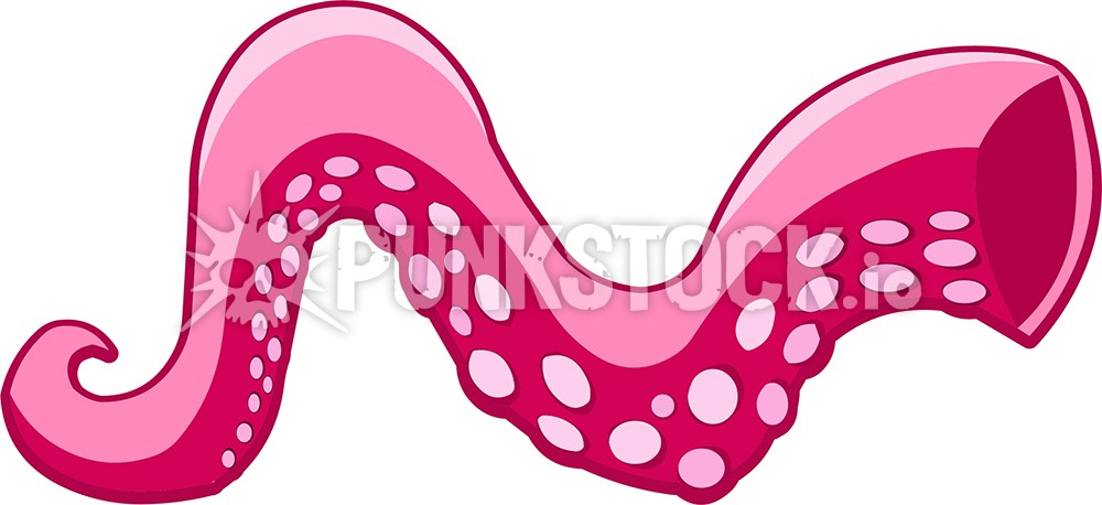 Squid squids octopus vector graphic