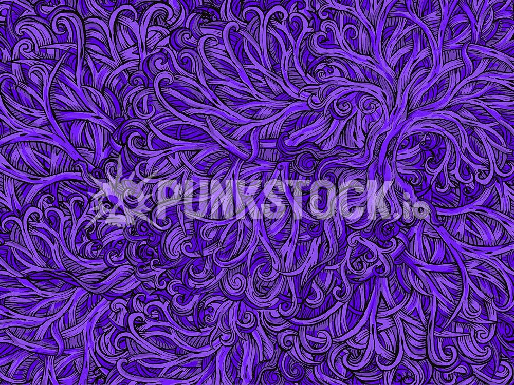 Sketch doodle drawing vector graphic