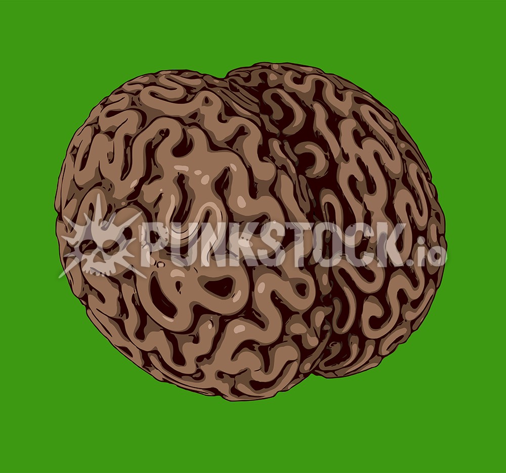 Brain brains vector graphic