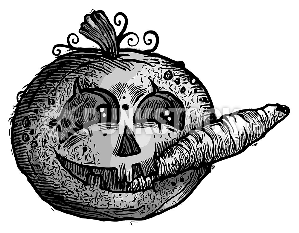 Sketch doodle drawing vector graphic