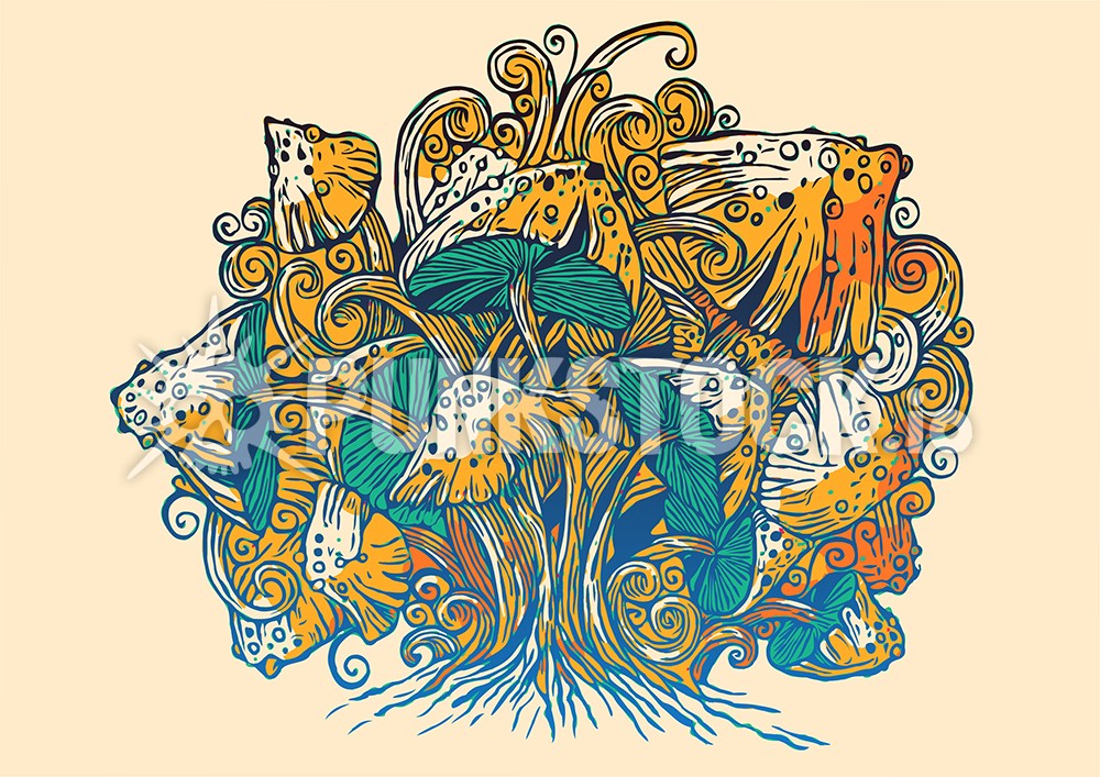 Mushroom mushrooms toadstool vector graphic