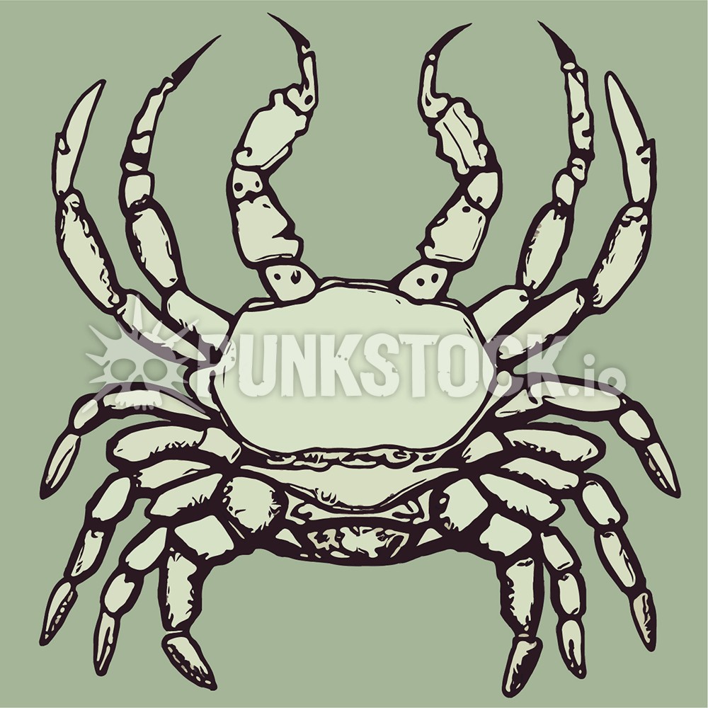 Crab crabs sea vector graphic