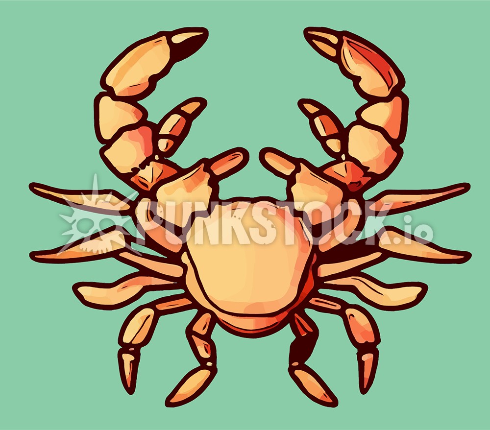 Crab crabs sea creature vector graphic
