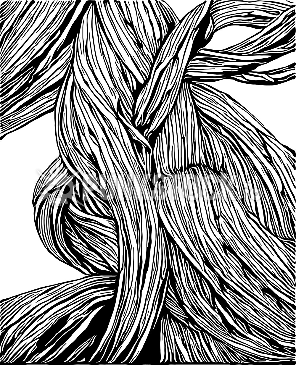 Line lines rope vector graphic
