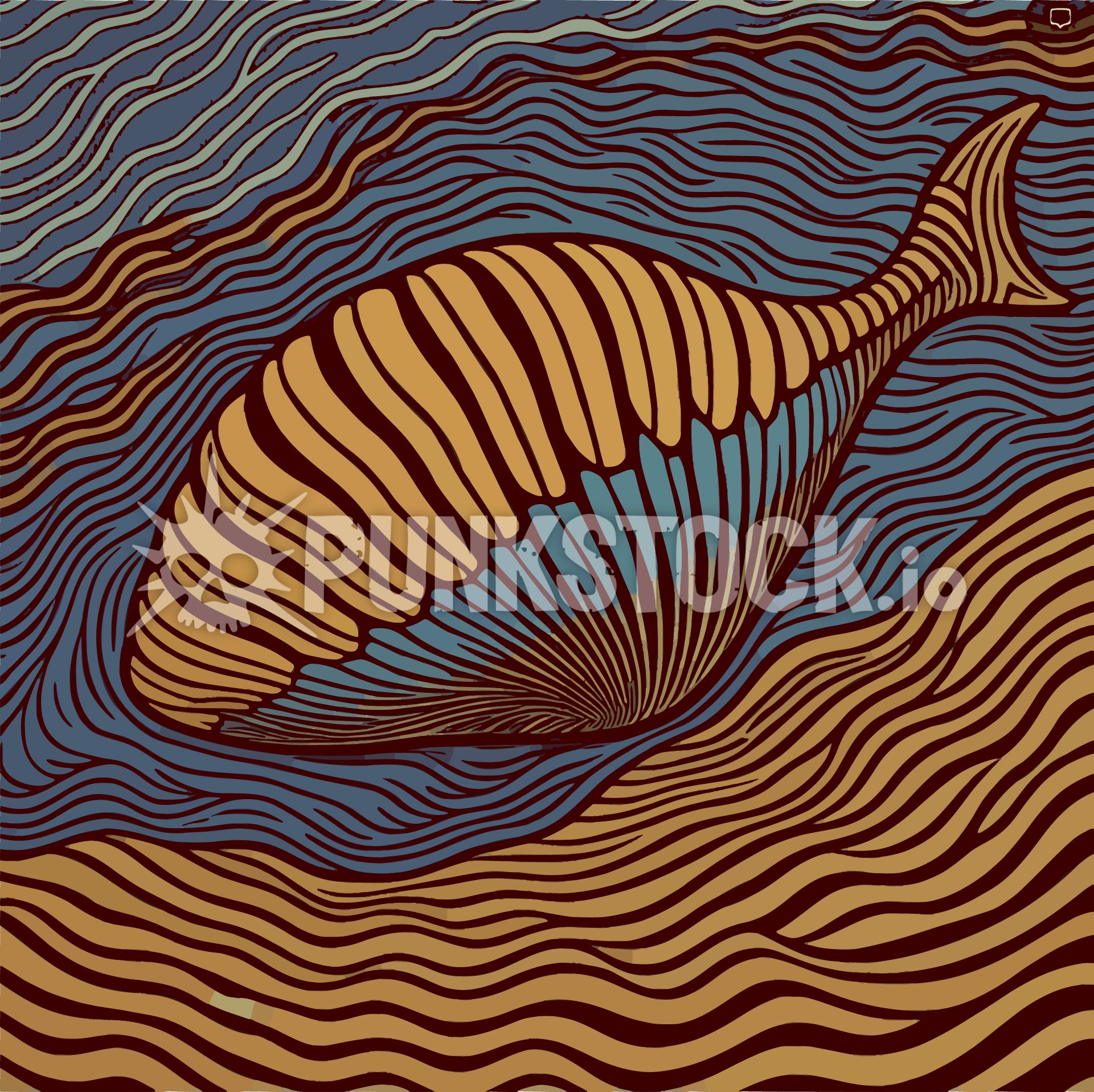 Shell shells lines vector graphic