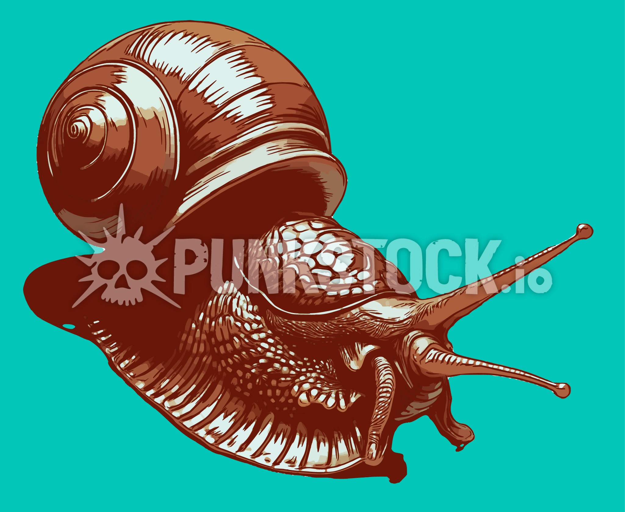 Snail snails slug vector graphic