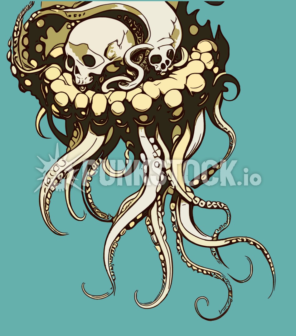Squid squids octopus vector graphic