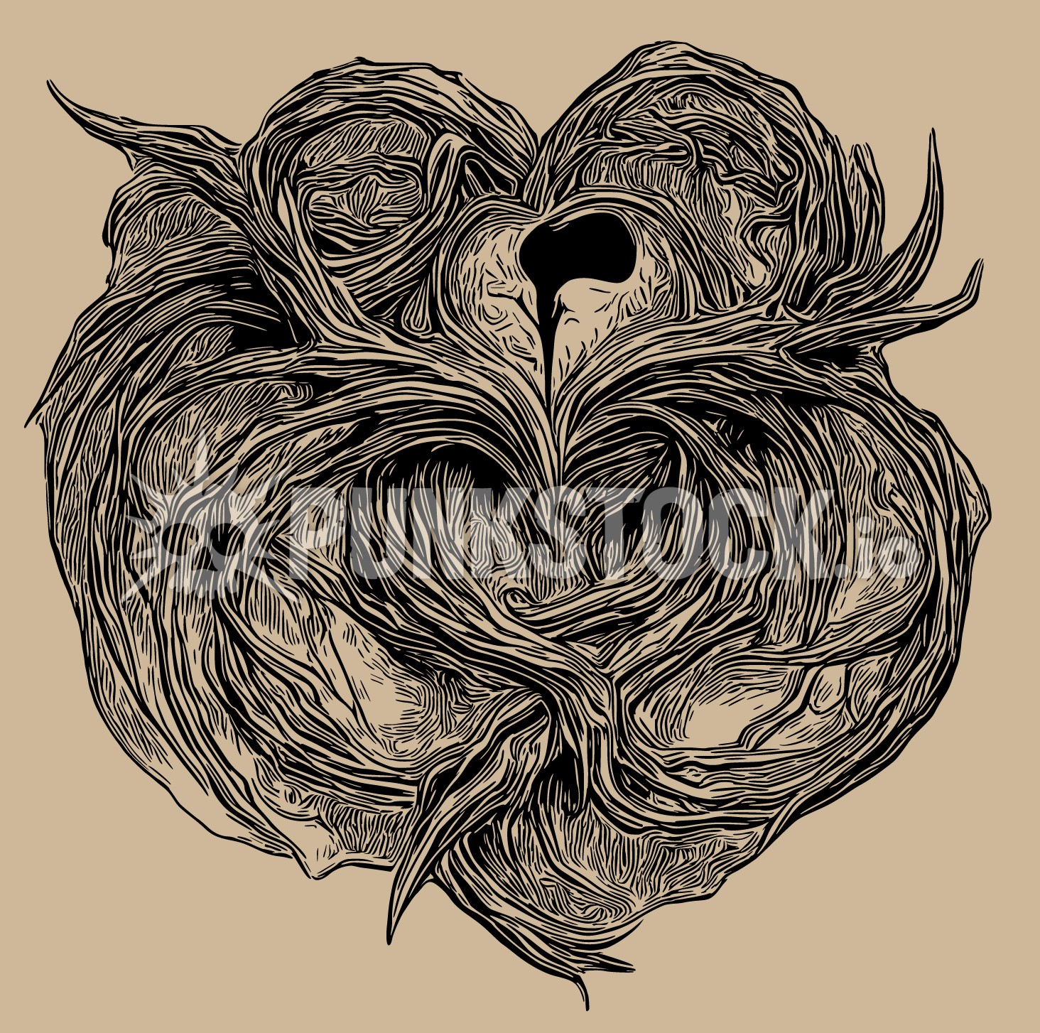 Heart flesh organ vector graphic