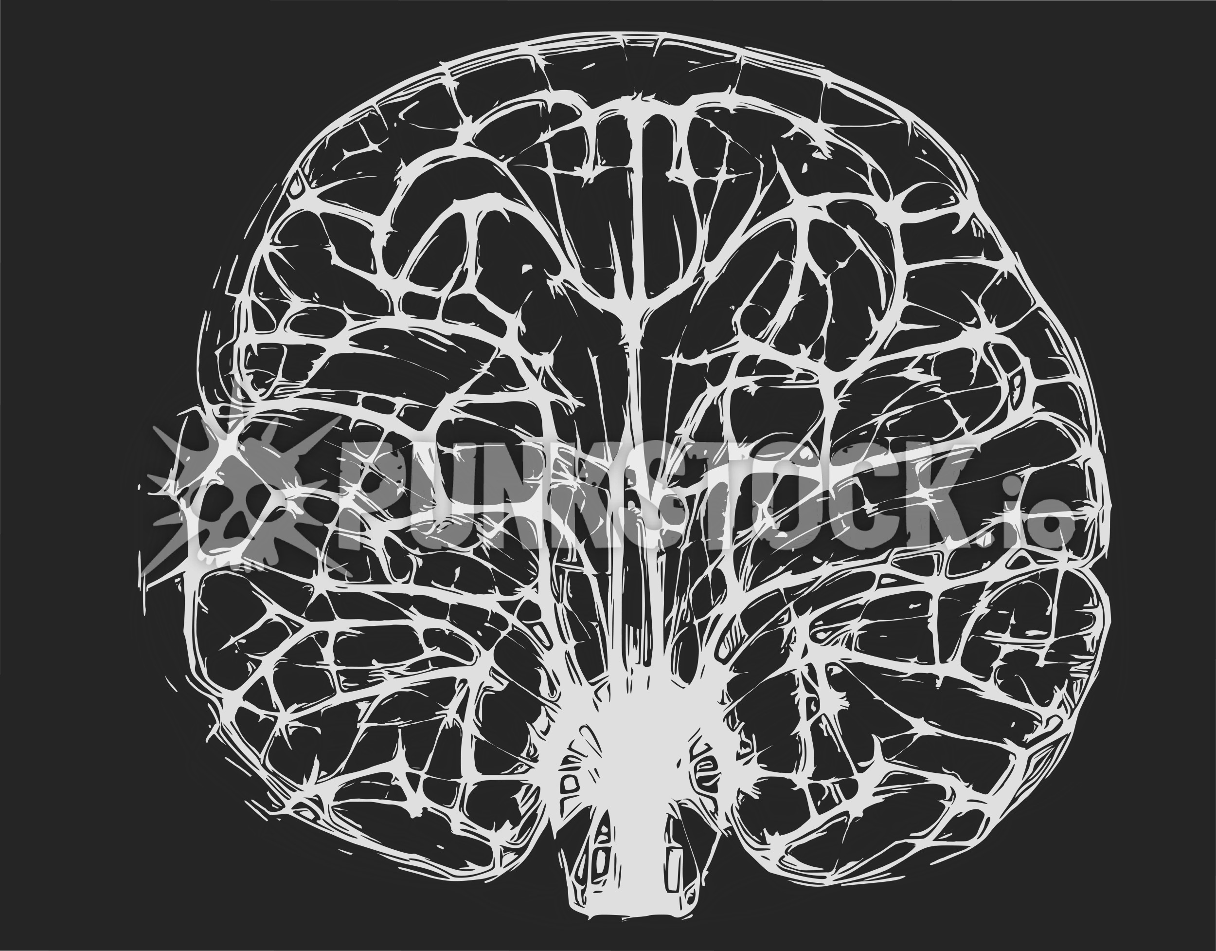 Brain brains xray vector graphic