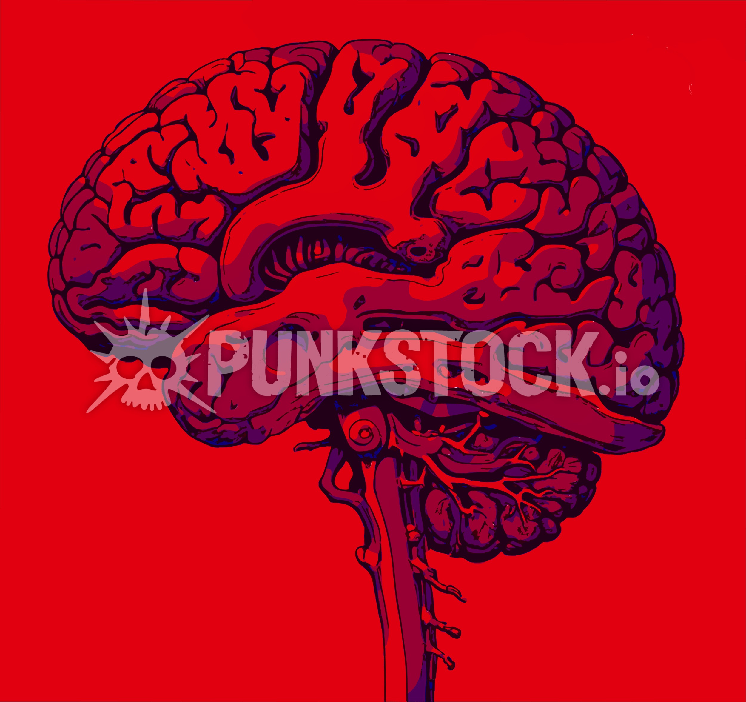 Side sideview side view vector graphic