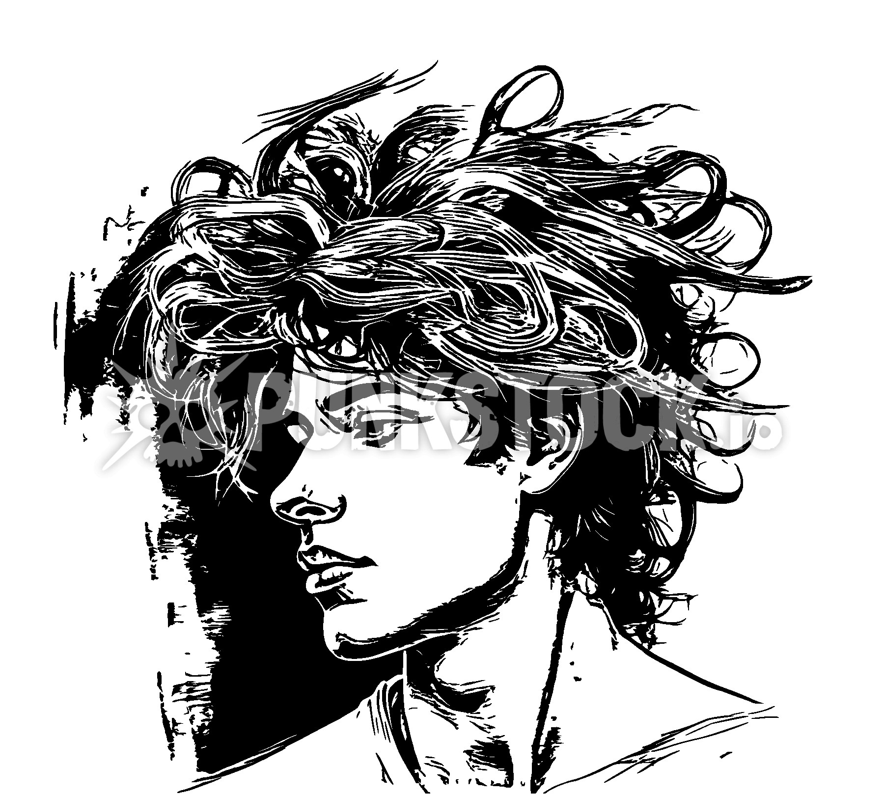 Big hair curly hair messy hair vector graphic