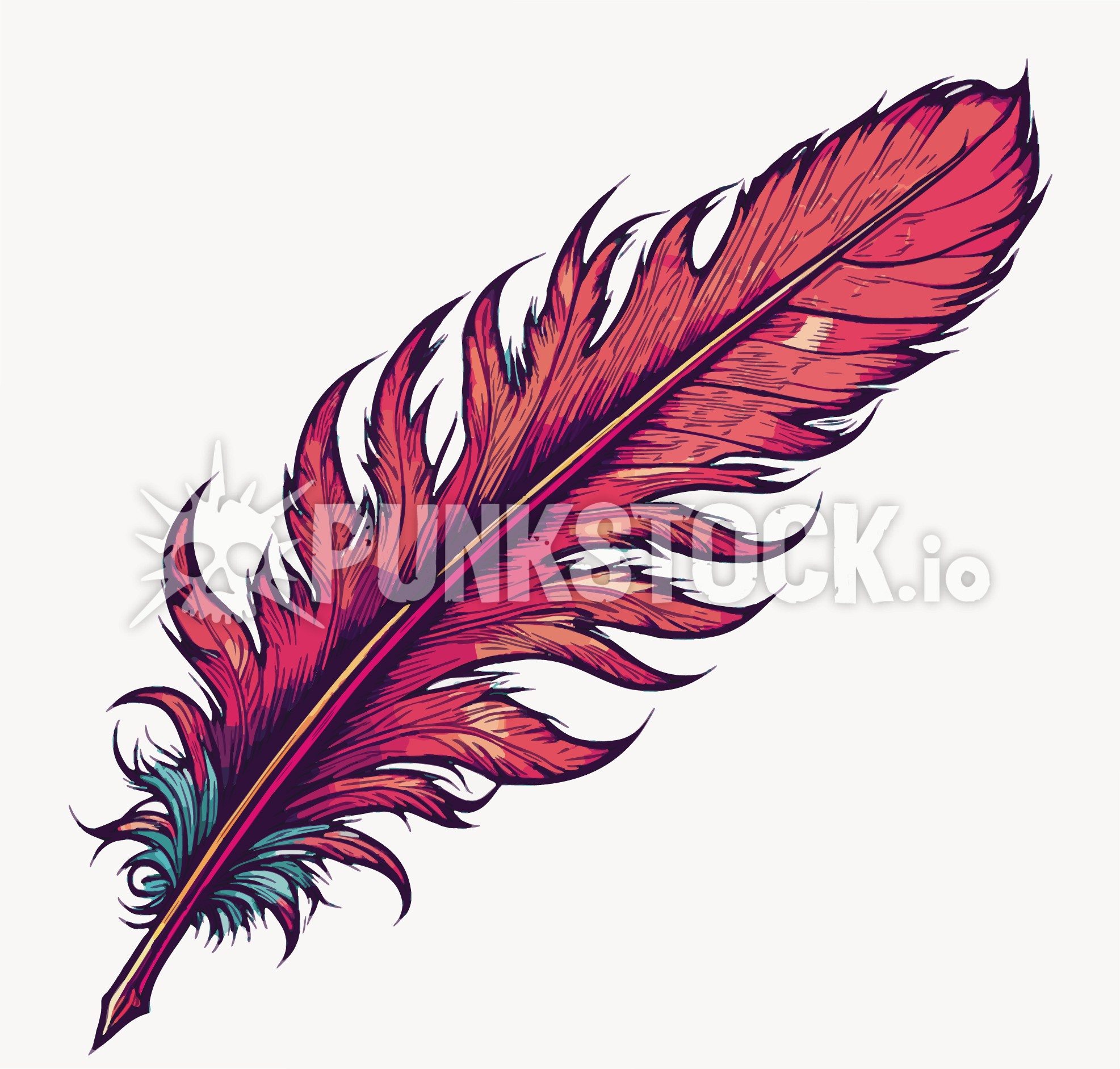 Feather feathers delicate vector graphic