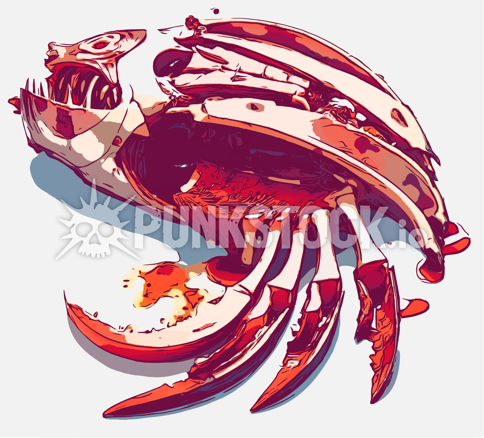Meat chop bone vector graphic