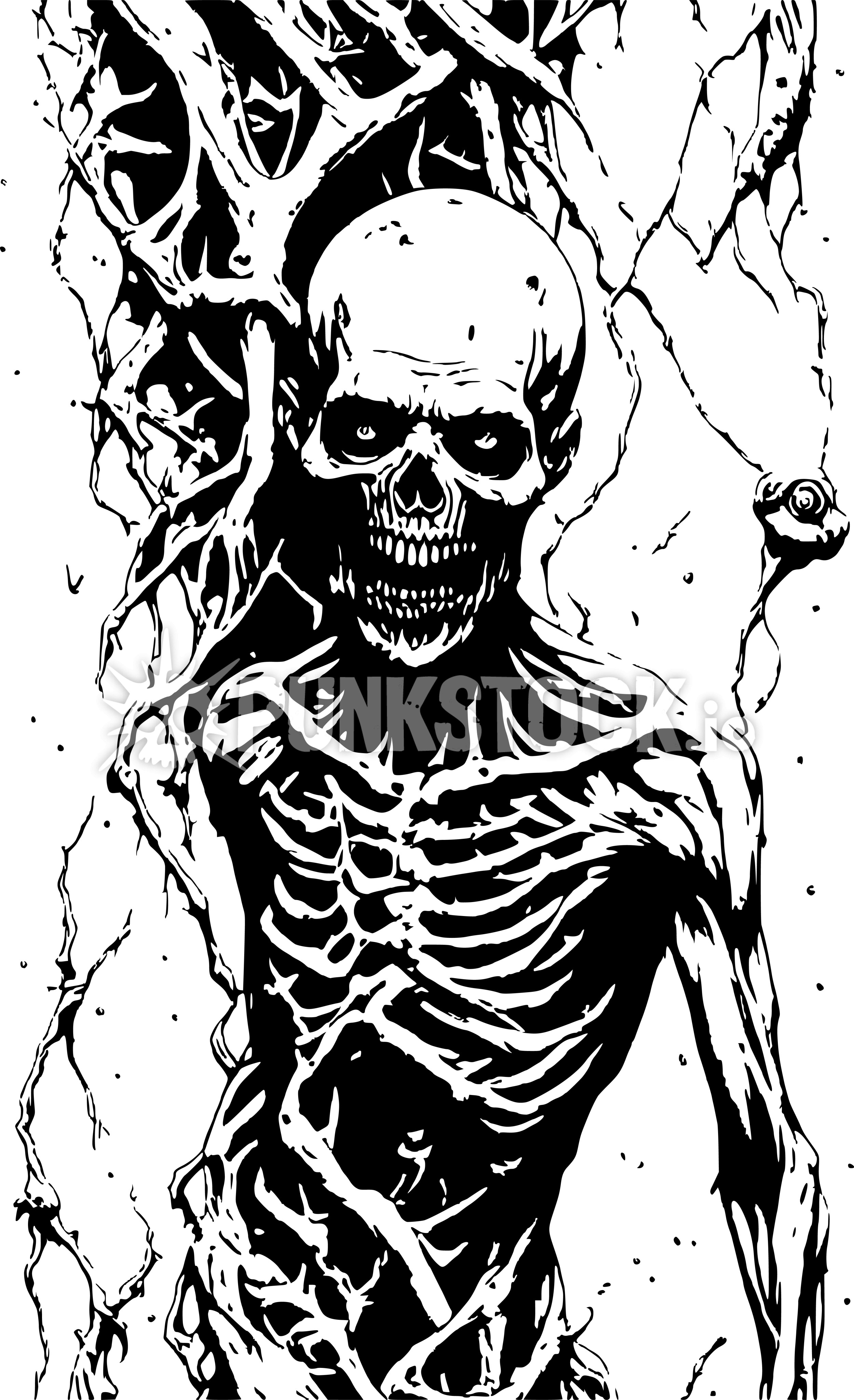 Skeleton ribs bones vector graphic