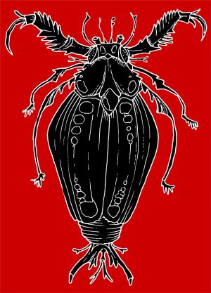 Bug vector graphic