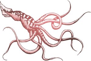 Squid vector graphic