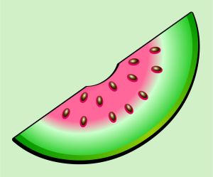 Watermelon vector graphic