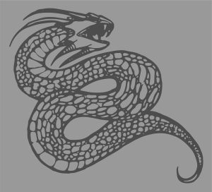 Snake vector graphic