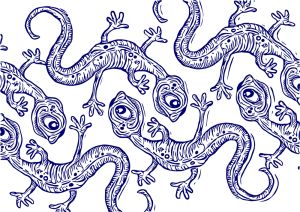 Salamander vector graphic