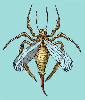 Bug vector graphic