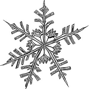Snowflake vector graphic