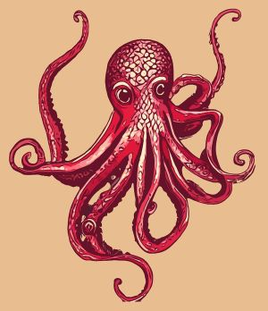 Squid vector graphic