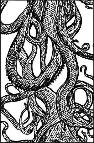 Squid vector graphic