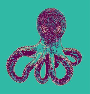 Squid vector graphic