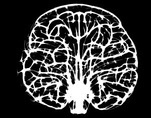 Brain vector graphic